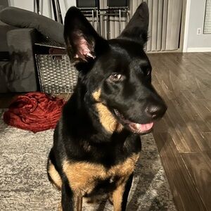 Meet your Posher, Kathy